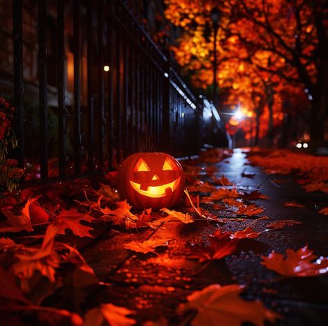 Aesthetic Halloween Pics, Jackolantern Wallpaper, Halloween Asthetic Picture, Halloween Pictures Aesthetic, Halloween Widgets Aesthetic, Halloween Asethic, Halloween Night Aesthetic, Halloween Vibes Aesthetic, Galaxy Pumpkin