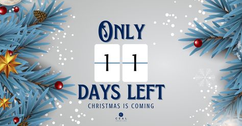 The countdown has begun! We are 11 days away from the happiest time of the year. 🎄 What excites you the most about Christmas? 🤔 #CEALConsulting 11 Days To Go Countdown, Days Till Christmas Countdown, Days To Go Countdown, Days To Christmas, Days Till Christmas, Medical Design, Days Until Christmas, Day Left, About Christmas