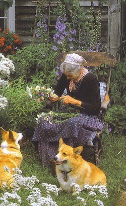 Tasha Tudor, Old Woman, Two Dogs, A Garden, Dogs, Flowers