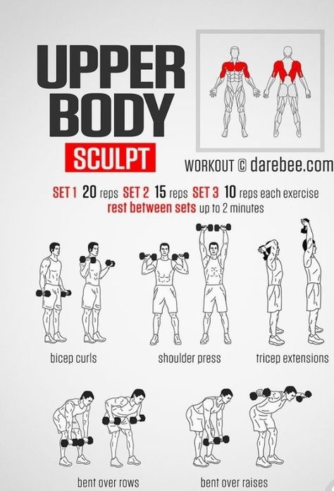 Planner Workout, Workout Gym Routine, Full Body Dumbbell Workout, Trening Sztuk Walki, Gym Workout Planner, Dumbell Workout, Gym Workout Chart, Workout Routine For Men, Men Abs