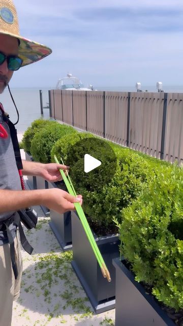 Tools Obsession on Instagram: "One more for you guys. Nice and consistent plus there is no loud engines, fumes or gas to refuel every half an hour this battery will last for a couple days doing this type of work. 

KC200.9
Kress Commercial 60 V 25” hedge trimmer

#tools 
#tool
#batteries
#lawncare
#lawn
#yard
#yardwork 
#hedge 
#backyard 
#landscape
#landscaping
#newtools

#battrerriespower
#tips
#tip
#tricks" Hedge Backyard, Hedge Trimmer, Hedge Trimmers, Backyard Landscape, Types Of Work, 15 Diy, Backyard Diy Projects, Home Landscaping, Yard Work