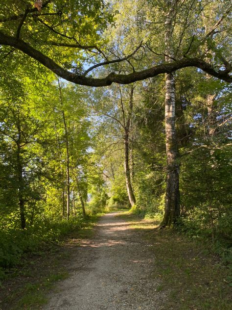 Nature, Out In Nature Aesthetic, Outdoor Walking Aesthetic, Walk In The Woods Aesthetic, Forest Walks Aesthetic, Outdoor Aesthetic Walk, Walking Pics Aesthetic, Walk In Forest Aesthetic, Outdoor Exercise Aesthetic