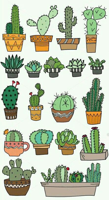 Mini Plants Drawing, Cartoon Succulent Drawing, Succulent Sketches Easy, Cactus Drawings Simple, Drawings Of Cactus, Cute Plant Drawings Simple, Mini Cactus Drawing, Drawing Cactus Easy, Cute Plant Paintings Easy