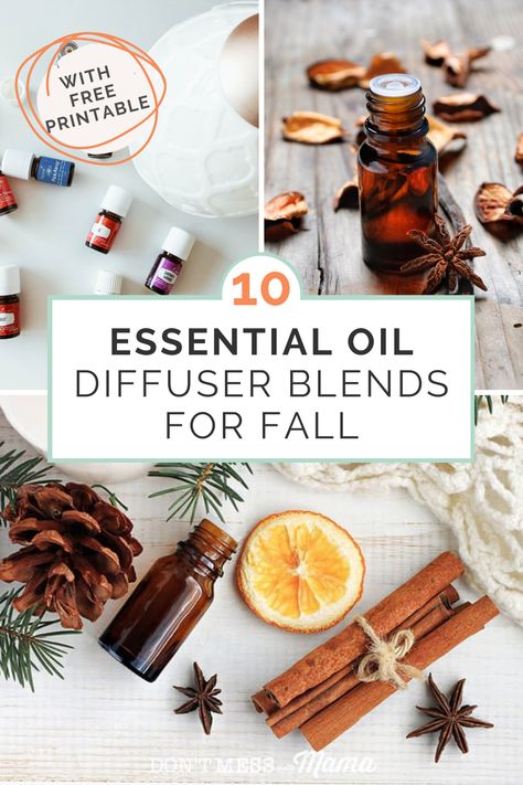 Want to get your home all cosey for fall? You need these fall essential oil blends. With these 10 fall diffuser blends your home will smell incredible and leave you feeling calm and cosey. Simple Fall Essential Oil Blends, Natural Fall Scents For Home, Fall Scent Essential Oil Blends, Diy Fall Essential Oil Blends, Essential Oil Recipes For Diffusers, Oil Recipes For Diffuser, Best Fall Essential Oil Blends, Diy Fall Essential Oil Recipes, Essential Oil Recipes Diffuser Fall