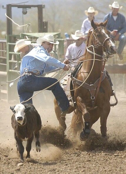 Calf Roping, Rodeo Time, Rodeo Cowboys, Real Cowboys, Team Roping, Southern Lifestyle, Cowboy Girl, Rodeo Life, Western Life