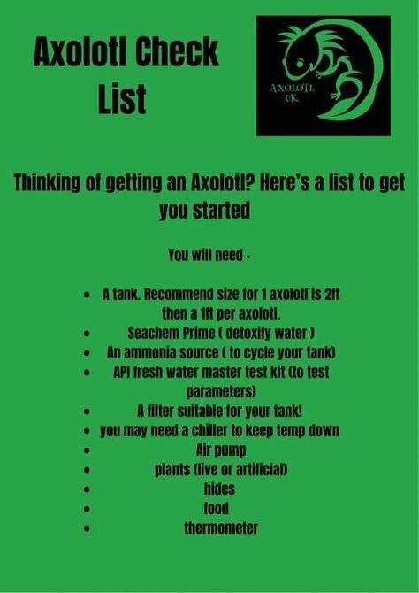 Axolotl Tank Ideas, Axolotl Stuff, Axolotl Tank, Axolotl Cute, Family Pets, Fish Tanks, Family Pet, Whales, Fish Tank