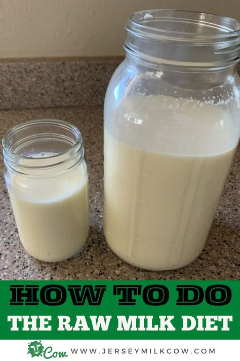 My journey with the raw milk diet started by finding an A2-A2 raw milk supply. As I mentioned before, my brother had A2-A2 jersey cattle, so I was able to get milk directly from him. For the first week, week-and-a-half, I drank nothing but that milk. I am not going to sugarcoat it. My body reacted harshly at first as it began to detox. Years on steroids had significantly weakened my immune system, so it had a strong response to the change. #cattle #minijersey #jerseycows #jerseycattle #jersey Jersey Cow Milk, Raw Dairy, Jersey Cattle, Milk Diet, Broth Diet, Bone Broth Diet, Fruit Fast, Goat Milk Recipes, Gut Feelings