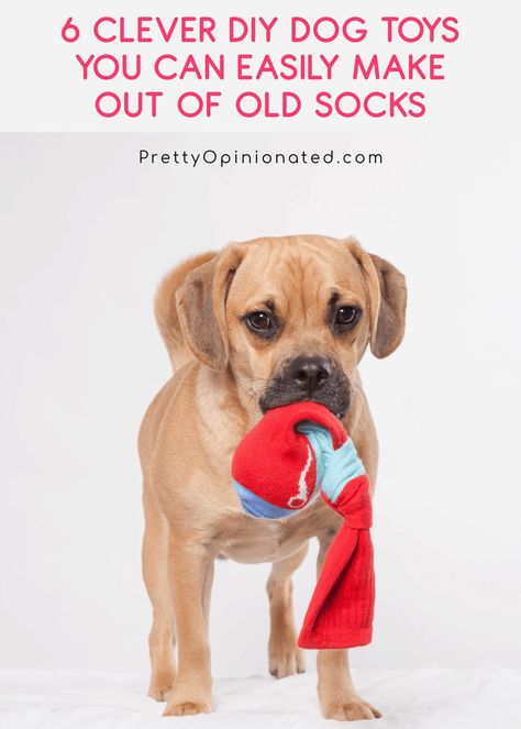 A couple pairs of old socks are basically all you need to DIY some bright, fun playthings for Fido. Check out 6 easy tutorials for homemade dog toys from socks! Diy Sock Toys, Homemade Dog Toys, Dogs Diy Projects, Diy Dog Toys, Dog House Diy, Durable Dog Toys, Diy Dog Bed, Dog Enrichment, Dog Ramp