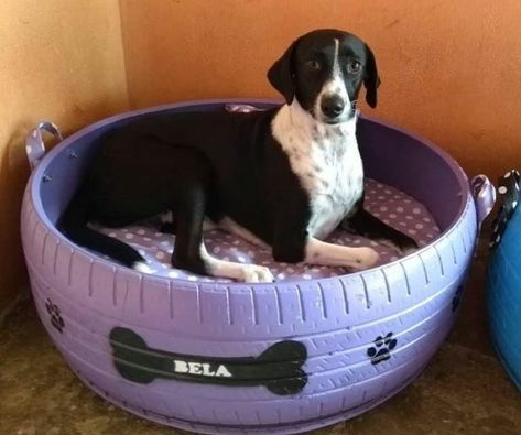 Diy Tire Projects, Dog Daycare Design, Tire Projects, Dog Beds Homemade, Diy Tire, Dog Backyard, Dog Kennel Designs, Daycare Design, Dog Yard