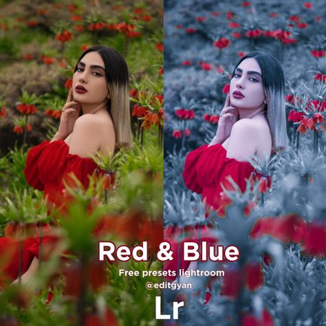 Lr Copy Paste Photo, Lightroom Copy Paste Photo, Lightroom Moody Presets, Lr Editing, Free Lightroom Presets Wedding, Lightroom Free Presets, Jay Bhim, Lightroom Edit, Moody Presets