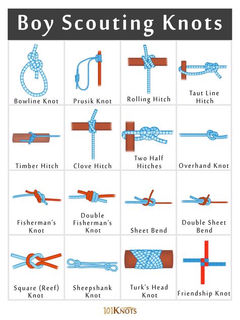 List of Basic Boy Scout Training Knots According To Their Uses Learning to tie knots is an essential part of scouting programs. Not only does it teach discipline and focus, but the skill also comes in handy for survival in critical situations. Their knowledge is also the key to going up the different levels of scouting and earning a few coveted awards. Boy Scouting Knots For Rescue Bowline knot Prusik knot For Securing a Rope to a Tree, Post, Ring Or Any Other Support Rolling hitch Taut line ... Types Of Knots Ropes, Basic Knot Tying, Scouting Knots, Knot Tying Tutorial, Different Knots, Prusik Knot, Sea Scouts, Scout Knots, Climbing Knots