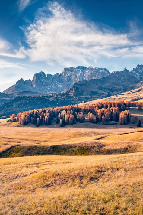 Alpe di Siusi, located in Italy's Dolomites, is Europe's largest high-altitude alpine meadow, renowned for its breathtaking scenery and outdoor activities. Dolomites Italy, Breathtaking Scenery, Alpine Meadow, Autumn Scenery, High Altitude, Outdoor Activities, Tourism, Italy