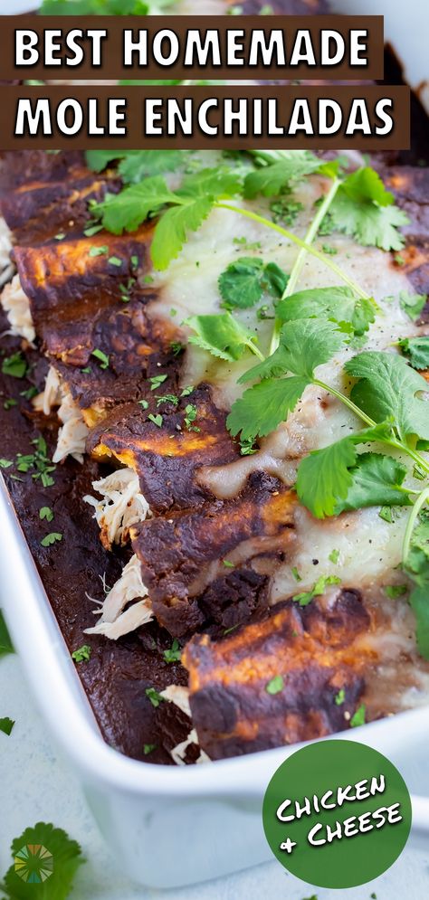 Quickly and easily make a batch of these Chicken Mole Enchiladas at home that tastes as good as your favorite Mexican restaurants'!  Corn tortillas are lightly fried in oil, filled with shredded chicken and cheese, and then covered in a homemade mole sauce that is secretly easy to make.  Meal prep them for the week or entertain guests with this impressive dish at your next Cinco de Mayo party! Mole Chicken Enchiladas, Enchiladas With Mole Sauce, Mole Enchiladas Recipe, Recipe Shredded Chicken, Mole Recipes, Chicken Mole Enchiladas, Mole Sauce Recipe, Healthy Latin Recipes, Mole Enchiladas