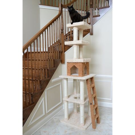 Armarkat Premium Cat Condo Pet Furniture - X8303 - X8303 Luxury Cat Furniture, Cat Tree Designs, Cat Condos, Large Cat Tree, Climbing Tower, Modern Cat Furniture, Cat Towers, Cat Tree Condo, Cat Activity