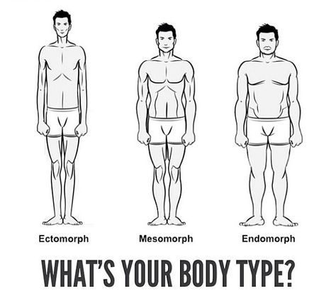 Body Types Endomorph, Ectomorph Men, Body Types Male, Male Body Types, Ectomorph Body, Mesomorph Body, Mens Body Types, Male Fitness Photography, Endomorph Body Type