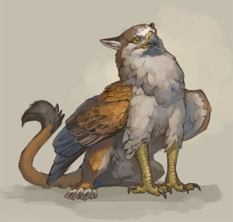 Dnd Hippogriff, Griffin Concept Art, Cute Griffin Art, Dnd Griffon, Griffin Character Design, Hippogriff Drawing, Gryphon Drawing, Griffon Drawing, Hippogriff Art