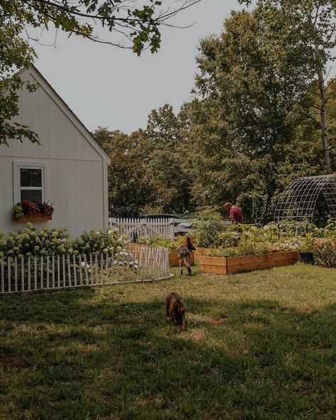 Cozy Room Ideas, Room Ideas For Men, Room Ideas For Men Bedroom, Men Bedroom, Vintage Headboards, Farm Lifestyle, Cottage Aesthetic, Future Farms, Cottage Farm