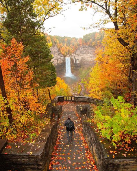 Taughannock Falls State... - World's Best Places To Travel Taughannock Falls, Finger Lakes Ny, Autumn In New York, Park In New York, Travel Inspiration Destinations, Home Style, City Aesthetic, Best Places To Travel, Autumn Photography