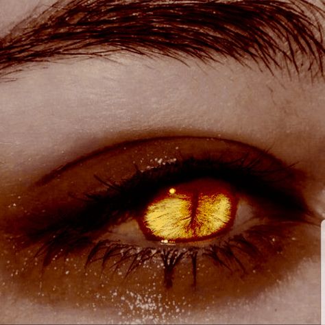 Edit of another pic on pinterest couldn't find any good slot eyes on here Reptile Eyes Human, Dragon Eye Aesthetic, Wings Over Eyes, Yellow Eye Aesthetic, Yellow Eyes Male, Dragon Eyes Aesthetic, Scourge Aasimar Aesthetic, Gold Eyes Aesthetic, Golden Eyes Aesthetic