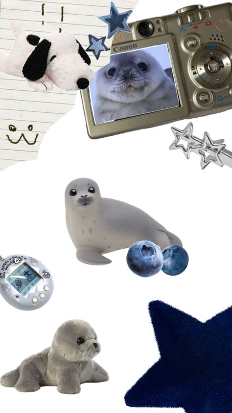 Seals:3 Seal Wallpaper Iphone, Wallpaper Iphone 16, Seal Wallpaper, Baby Blue Iphone Wallpaper, Silly Seal, Blue Iphone Wallpaper, Iphone Wallpaper Iphone, Halloween Wallpaper Iphone Backgrounds, Harp Seal