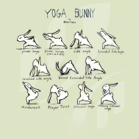 Bunny Yoga, Yoga Vidya, Crescent Lunge, Yoga Stretching, Chiropractic Wellness, Wellness Clinic, Wellness Yoga, Vw Van, Yoga Stretches