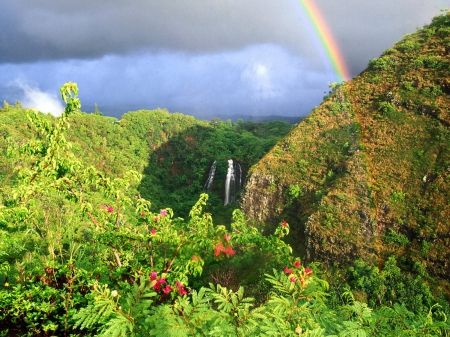 Rainbow over Opaeka Falls Hawaiian Rainbow, Nature Desktop Wallpaper, Horizontal Wallpaper, Beautiful Places In America, Nature Desktop, Hawaii Kauai, Rainbow Sunset, Kauai Hawaii, Hawaiian Islands