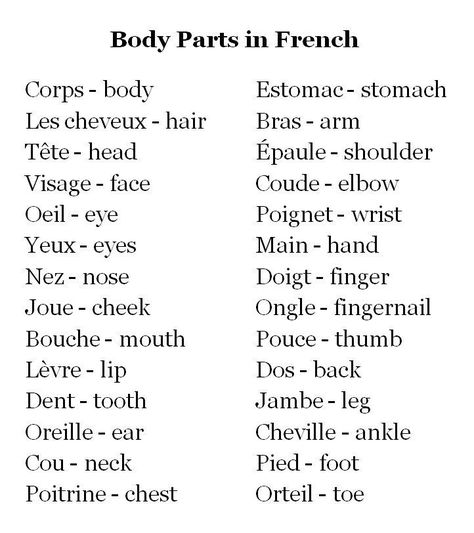 Found this on Pinterest French Language Basics, French Words Quotes, Studie Hacks, Useful French Phrases, Learn French Beginner, French Basics, Learn To Speak French, French Flashcards, Basic French Words