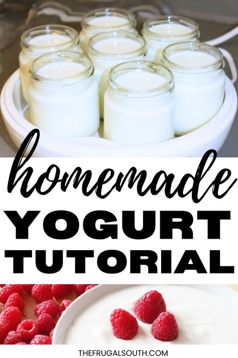 Yogurt Diy, Homemade Yogurt Recipes, Diy Yogurt, Make Your Own Yogurt, Make Greek Yogurt, Breakfast Homemade, Making Yogurt, Yogurt Recipe, Healthy Yogurt