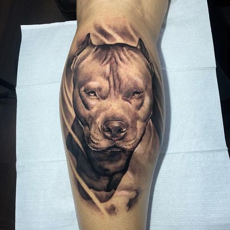 Apocalypse Tattoo, Portrait Tattoo Sleeve, Dog Portrait Tattoo, Pitbull Tattoo, Bulldog Tattoo, Dog Memorial Tattoos, Dog Paw Tattoo, Pitbull Art, Chicano Style Tattoo