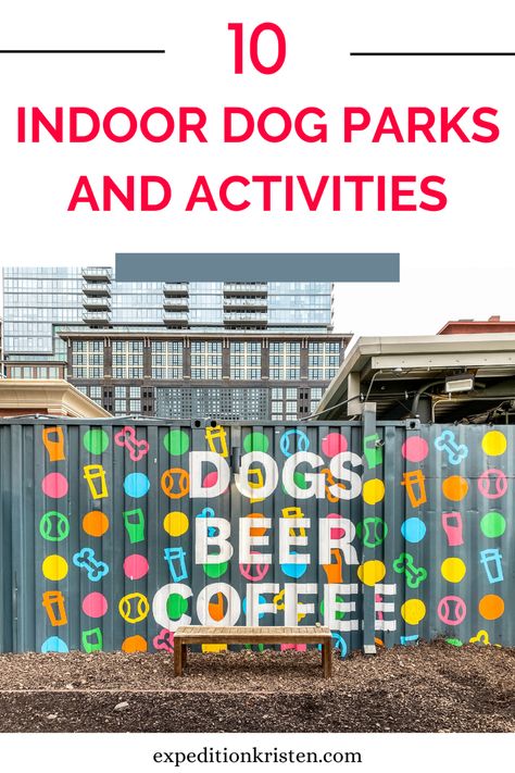 As the winter season in Minnesota turns bitter cold, taking walks outside with your dog may become challenging and even dangerous. Luckily, the Twin Cities are a dog-friendly place, and there are many cozy indoor parks, activities, restaurants, and heated patios to enjoy as we wait for spring to arrive. Click here to learn more about the best indoor places to bring your dog! Dog Vending Machine, Dog Park Aesthetic, Walks Outside, Indoor Dog Park, Dog Travel Accessories, Dog Beer, Dog Playground, Midwest Travel, Travel Supplies