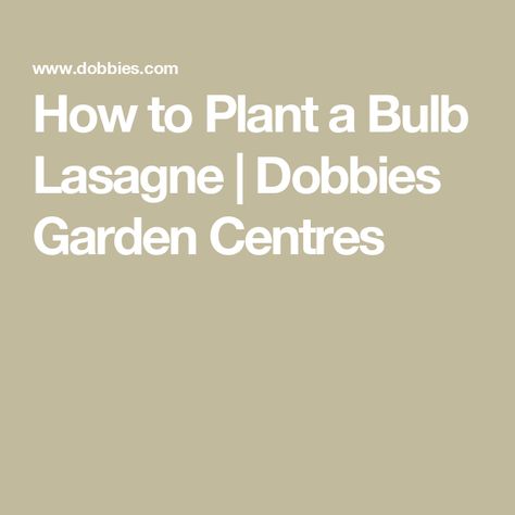 How to Plant a Bulb Lasagne | Dobbies Garden Centres Bulb Lasagne, Bulbs In Pots, Garden Displays, Cultivating Tools, Summer Flowering Bulbs, Amaryllis Bulbs, Bbq Cover, Indoor Plant Care, Real Christmas Tree