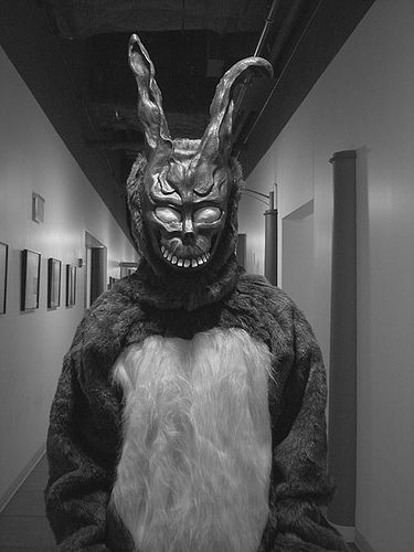 Donny Darko, Frank The Rabbit, Frank The Bunny, Bunny Movie, Rabbit Halloween, Rapper Style, Horror Stuff, Bunny Drawing, Donnie Darko