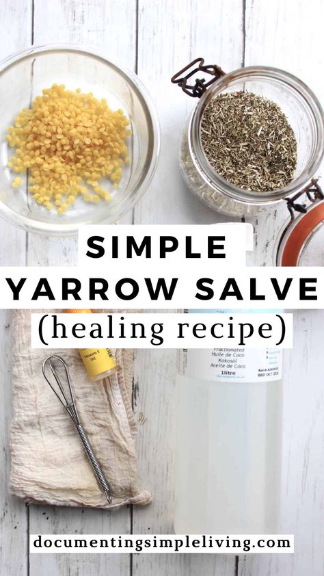 Yarrow is a natural remedy for minor burns, cuts, rashes, and insect bites. This simple yarrow salve recipe is written for beginners and will guide you through how to make the salve to add to your herbal first aid kit. Diy Basil Salve, Yarrow Salve, Herbal First Aid Kit, Hives Remedies, Herbal Salve Recipes, Herbal First Aid, Herbal Diy, Comfrey Salve, Healing Salve Recipe