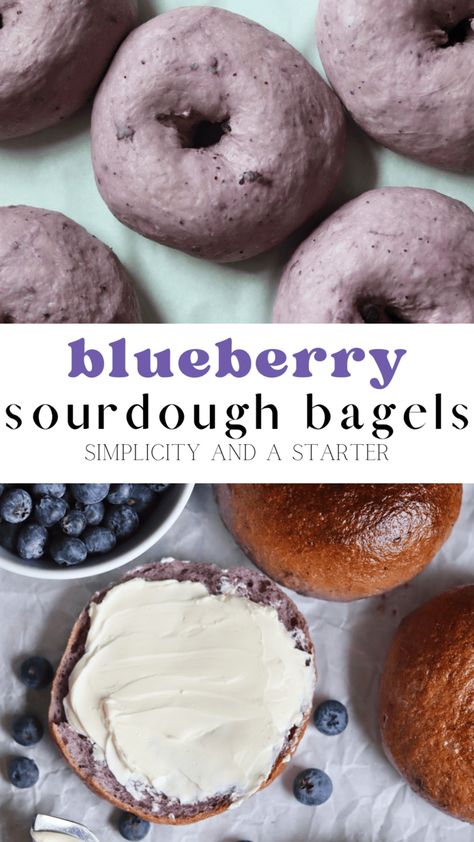 Blueberry Bagels Recipe, Blueberry Bagels, Sourdough Blueberry, Blueberry Bagel, Bagels Recipe, Recipe Using Sourdough Starter, Sourdough Bagels, Sourdough Starter Discard Recipe, Homemade Sourdough Bread