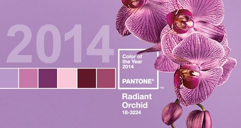 Pantone Color of The Year: “Radiant Orchid” | the Beauty Bridge Connoisseur Color Of The Year 2022, Orchid Color, Pantone Color Of The Year, Beauty Salon Design, Radiant Orchid, Home Decor Hacks, Salon Design, Burgundy Wedding, Wedding Wishes