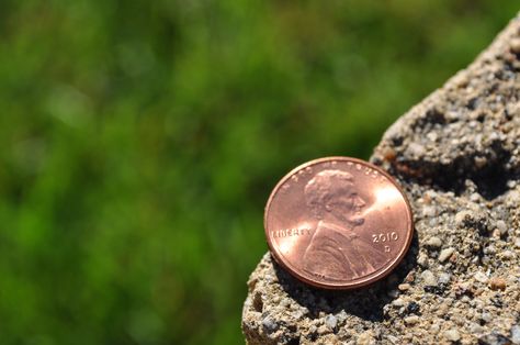 Find a penny, pick it up.  All the day you'll have good luck. Money Energy, Lucky Penny, A Penny, Lucky Girl, Light Summer, Preston, Good Luck, Penny, The Day