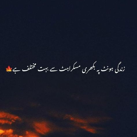 One Line Poetry, Golden Words In Urdu, Gods Grace Quotes, Podcast For Women, 1 Line Quotes, Golden Words, One Line Quotes, Soul Love Quotes, Quotes In Urdu