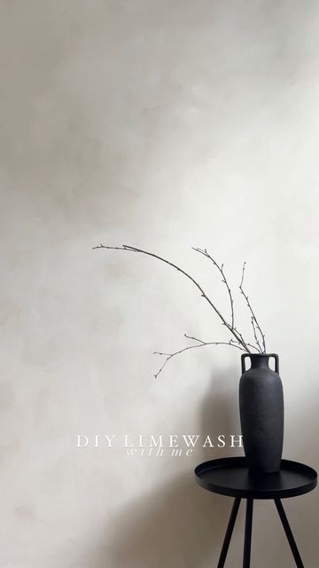 Brushed Wall Paint, Limewash Walls Entryway, Greige Limewash Walls, Bone Wall Color, White Lime Wash, Off White Limewash, Limewash Wall Paint, Limewash And Paneling, Lime Wash Wood