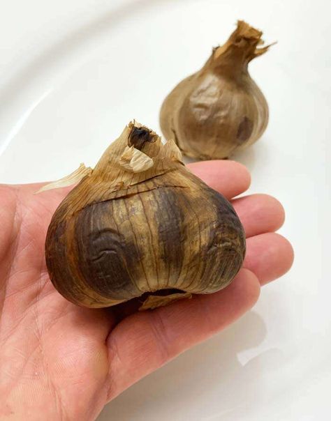 How to make black garlic in a dehydrator Dehydrated Recipes, Best Food Dehydrator, Sticky Pudding, Hardneck Garlic, Maillard Reaction, Dehydrated Foods, Canning Ideas, Garlic Benefits, Garlic Uses