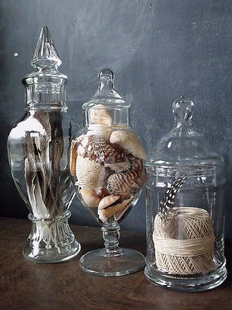 Fill apothecary jars with feathers, shells, rope, rocks, etc for a year round look. Small Apothecary Jars, Shells In Glass Jars Display, Display Feathers, Apothecary Jar Ideas, Apothecary Jars Decor, Cloche Decor, Apothecary Decor, Jar Fillers, Decorative Glass Jars