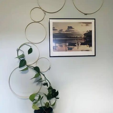 Diy Wall Trellis Indoor, Wall Wire Art, Trailing Pothos Wall, Macrame Plant Trellis, Diy Hoop Trellis, Diy Indoor Trellis Ideas, Diy Pothos Trellis, Diy Circle Trellis, Pothos Trellis