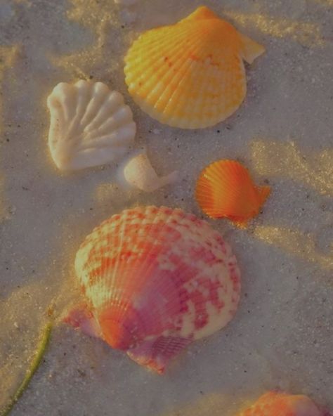 Orange Mermaid Aesthetic, Summer Widgets, Orange Mermaid, Types Of Aesthetics, Mermaid Aesthetic, Orange Aesthetic, Dark Yellow, Shades Of Orange, Mermaid