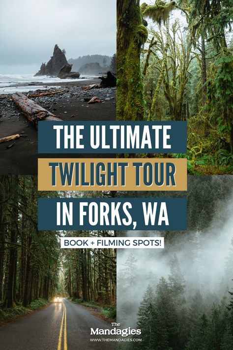 Forks Washington Outfits, Things To Do In Forks Washington, Twilight Road Trip, Folks Washington Twilight, Twilight Vacation, Twilight Trip, Twilight Washington Trip, Twilight Forks Washington, Pnw Vacation