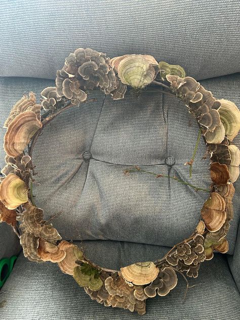 Activities, mushroom, forage, foraging, wreath, DIY, home decor Mushroom Wreath, Mushroom Crafts, Witchy Crafts, Mushroom Decor, Wreath Diy, Mushroom Art, Nature Crafts, Crafty Craft, Cute Crafts