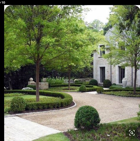 Front Yard Boxwood, Circle Driveway Landscaping, Boxwood Landscaping, Circle Driveway, Driveway Entrance Landscaping, Driveway Entrance, Driveway Design, Driveway Landscaping, Garden Paving