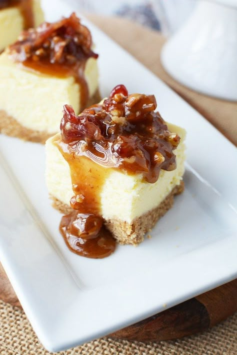 Bourbon Cheesecake Recipes, Maple Bacon Cheesecake, Savoury Cheesecake, Bourbon Cheesecake, Bacon Cheesecake, Picky Bits, Bacon Desserts, Savory Cheesecake, Appetizer Easy