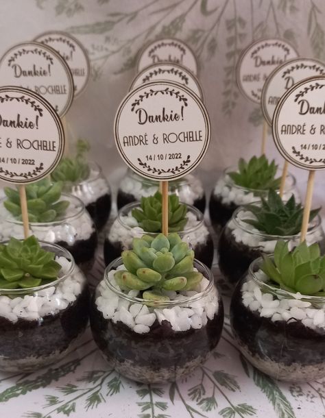 Budget Friendly Wedding Favours, Engagement Dinner, White Wedding Decorations, Succulent Wedding Favors, Creative Wedding Favors, Cape Wedding Dress, Wedding Activities, Favors Diy, Succulent Wedding