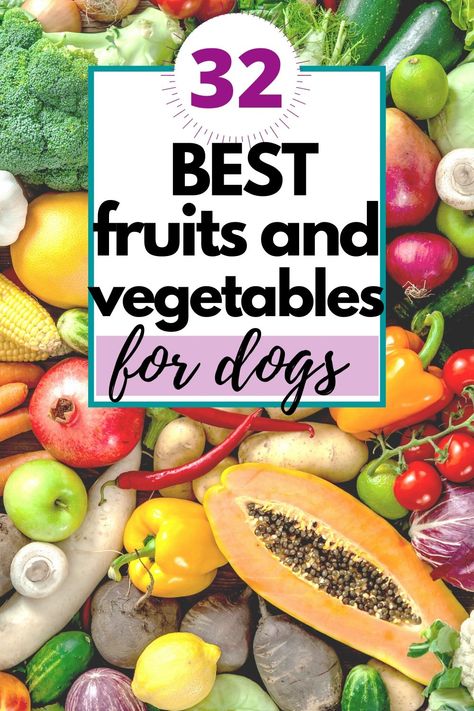 32 of the best fruits and vegetables for dogs. Fruits Good For Dogs, Fruits And Vegetables For Dogs, Dog Safe Vegetables, Fruit Dogs Can Eat, Dog Vegetables, Fruits For Dogs, Foods Dogs Can Eat, Diy Dog Food, Stomach Issues