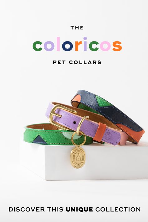 Colorful leather Dog Collars with gold hardware Dog Brands, Unique Tapestry, Pet Magazine, Pet Branding, Daily Hacks, Cute Dog Collars, Dog Branding, Modern Pet, Pet Boutique