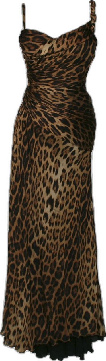 Booked And Busy, Gown Vintage, Cheetah Dress, Printed Gowns, Leopard Dress, Just Cavalli, Roberto Cavalli, Fancy Dresses, Leopard Print